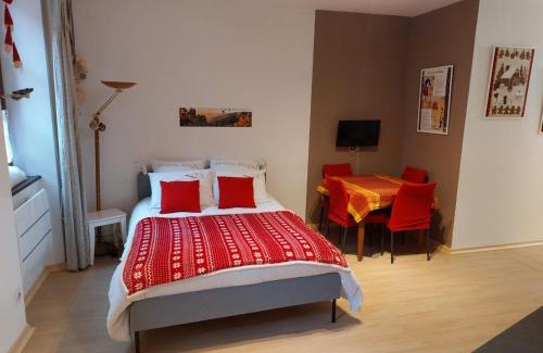 Ribeauville Apartment | Le BUBELE au coeur du centre médiéval et vignoble