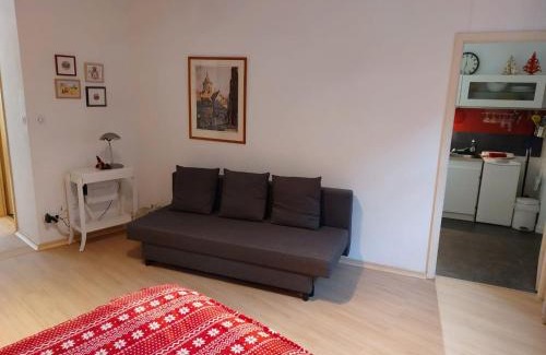 Ribeauville Apartment | Le BUBELE au coeur du centre médiéval et vignoble