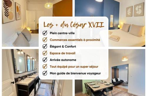 Downtown Angers Apartment | Le César XVII - Hypercentre