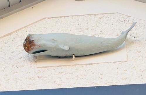 Le Pouliguen House | Le cache a l eau