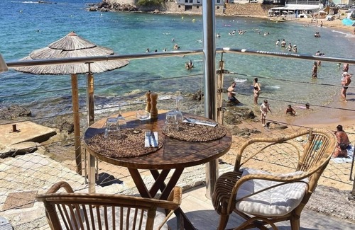 Carqueiranne Apartment | Le California apartment Carqueiranne harbour and beaches