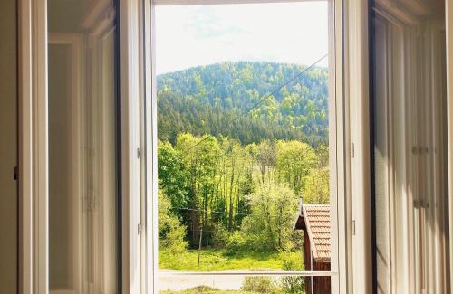 Rochesson Apartment | ⁂ LE CHAMOIS Appartement [CLEDICIHOME]/Magnifique vue sur les montagnes/4 KMs DE GERARDMER ! ⁂