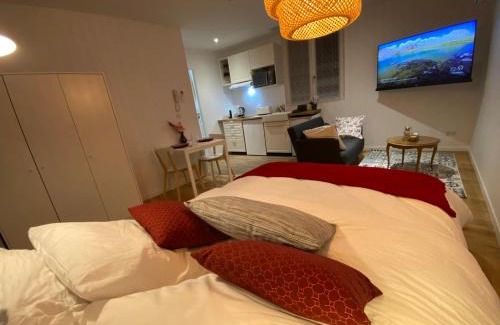 Agen Apartment | Le Charme - Au Coeur d'Agen - Self Checkin - Wifi - Netflix - Smart TV - Luqs fr