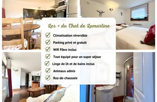 Saint-Pierre-d'Albigny Apartment | Le Chat De Lamartine - Clim Parking