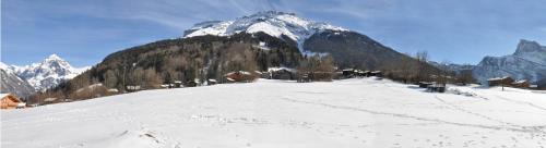 Sixt-Fer-a-Cheval Ski Chalet | Le clair logis