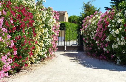 Molleges Bed & Breakfast | Le Clos de Calas