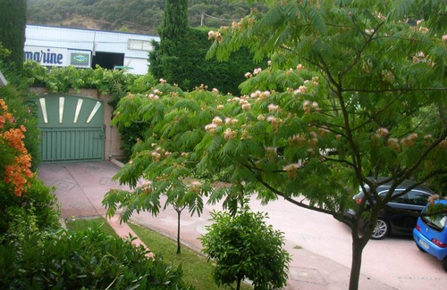 Saint-Raphael Apartment | Le Clos des Vignes - Studio 1