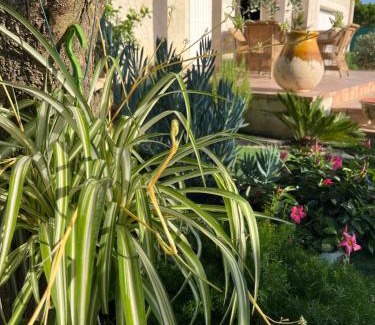 Boisseron Bed & Breakfast | Le Clos Jasmin