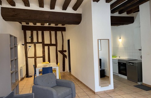 Auxerre Apartment | Le Coche d'Eau-Apartment-Modern-Ensuite-City view