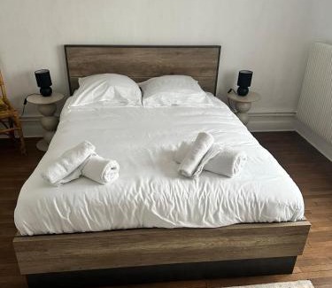 Saint-Pierre-des-Corps Apartment | Le Cocon de la Gare