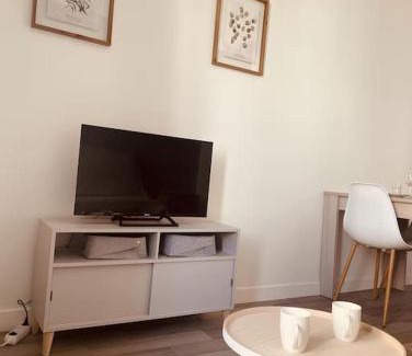 Castres Apartment | Le Coin Cosy l Balcon