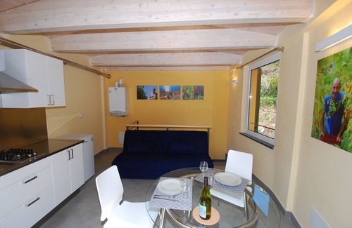 Manarola Apartment | Le Coste "Bilo" by Arbaspàa - Deluxe Apartment in Manarola