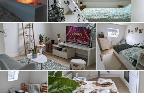 Croix Apartment | Le cosy botanique