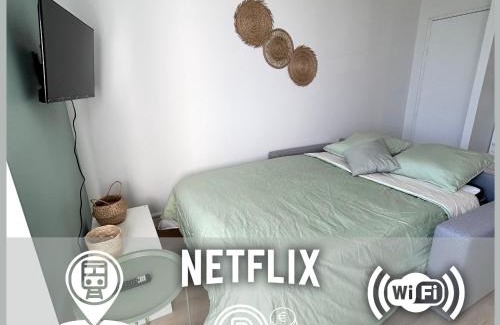 Villefranche-sur-Saone Apartment | Le cosy Twin