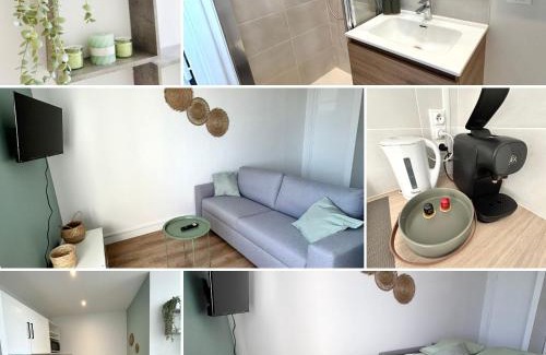 Villefranche-sur-Saone Apartment | Le cosy Twin