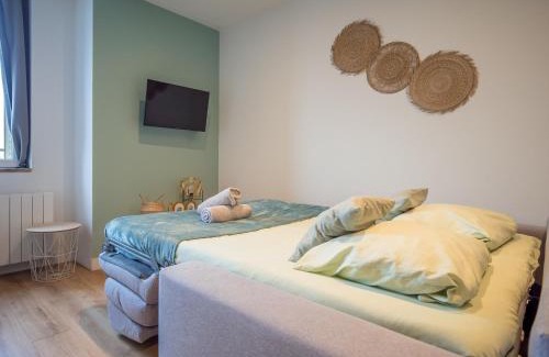 Villefranche-sur-Saone Apartment | Le cosy Twin
