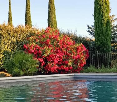 Cavaillon Bed & Breakfast | Le faré tchanqué chambre cuisine d'été 2 pers