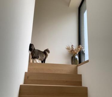 Francorchamps House | Le Franco35