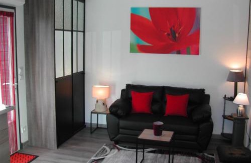 Castelnau-d'Estretefonds Apartment | le gite de léonard