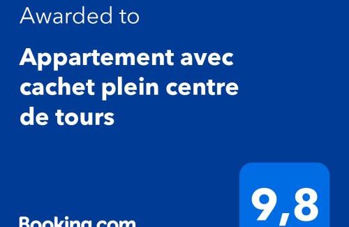 Tours Apartment | Le grand Michelet centre de tours