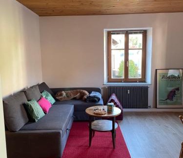 Le Hohwald Apartment | Le Hohwald centre appartement 2 pièces # 102