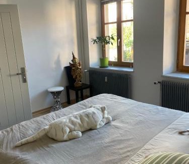 Le Hohwald Apartment | Le Hohwald centre appartement 2 pièces # 102