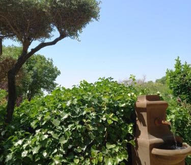Eguilles House | Le jardin de Sabine