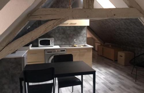 Besancon Old Town Apartment | LE LOFT DU DOUBS