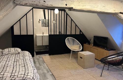 Besancon Old Town Apartment | LE LOFT DU DOUBS