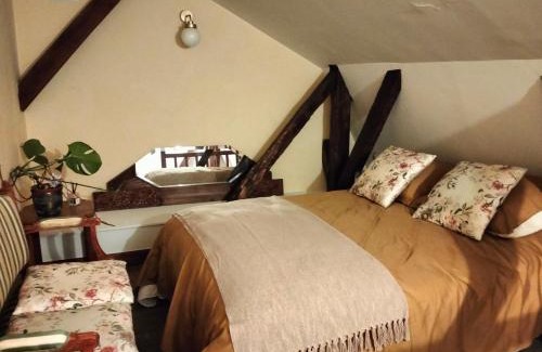 Chinon Apartment | Le logis de Bodard