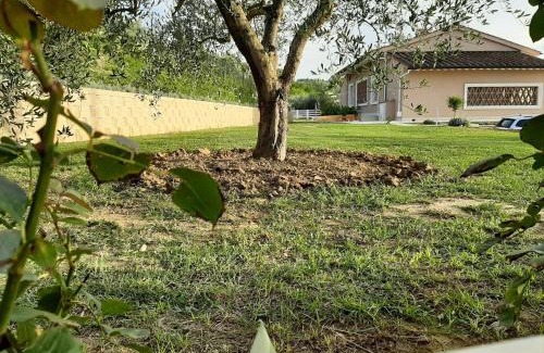 San Miniato Bed & Breakfast | LE MAMMOLE