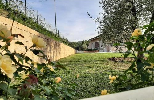 San Miniato Bed & Breakfast | LE MAMMOLE