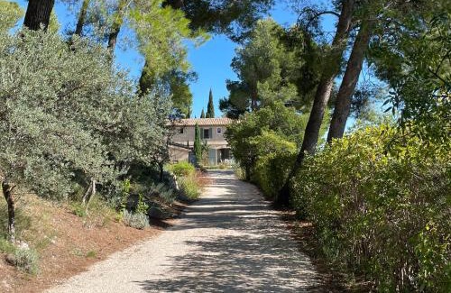 Maussane Bed & Breakfast | Le Mas Angelou