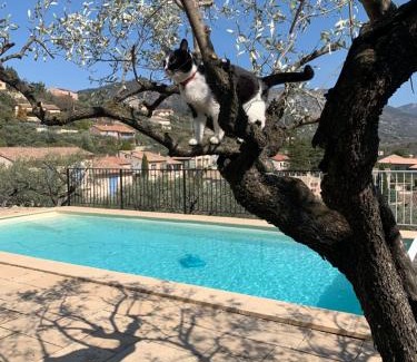 Buis-les-Baronnies Bed & Breakfast | Le mas christiane