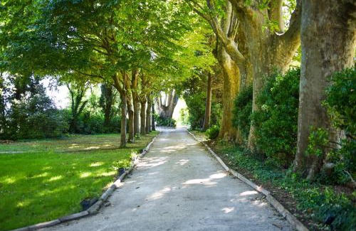 Le Thor Bed & Breakfast | Le Mas de la Sorgue