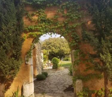 Le Beausset Bed & Breakfast | Le mas des escans