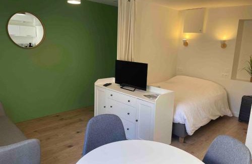 Villefranche-sur-Saone Apartment | Le Minimaliste, Appartement Hyper Centre Climatisé