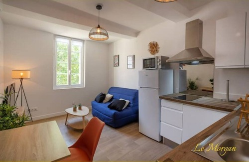 Salon-de-Provence Apartment | Le Morgan - Magnificent city center apartment with parking space