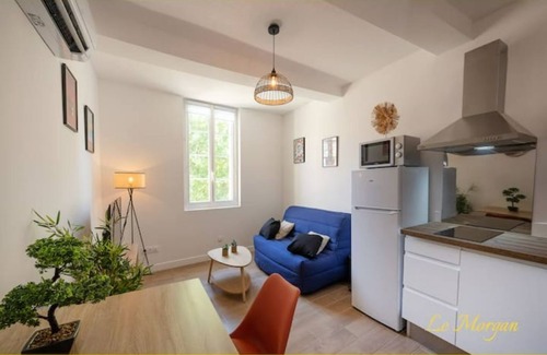 Salon-de-Provence Apartment | Le Morgan - Magnificent city center apartment with parking space