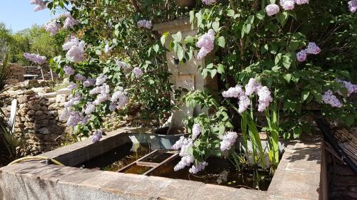Crillon-le-Brave Bed & Breakfast | le moulin
