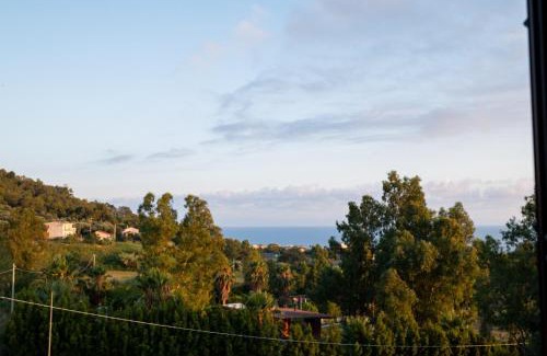 Falerna House | Le Muse