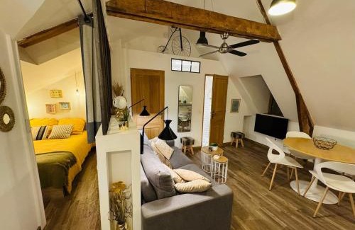 Rodez Apartment | Le Néo au 17, appartement cosy dans le centre historique de Rodez