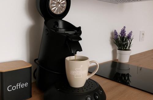 Saint-Die Apartment | Le Nid Cozy à 2 Pas de la Gare St-Dié - Wifi - Calme
