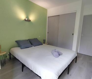 Mont-de-Marsan Apartment | Le nid montois - centre - parking - balcon - wifi - lave linge et vaisselle