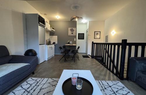 Yvre-l'Eveque Apartment | Le Nid Sarthois - 5pers - Bener - Rêve au Mans