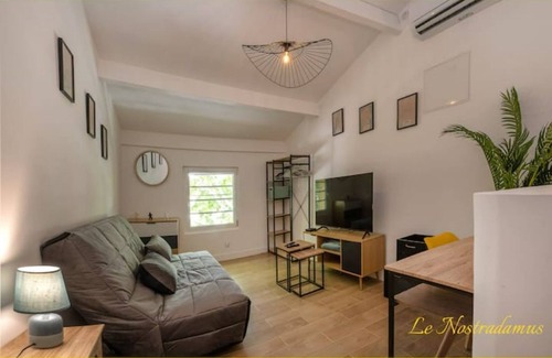 Salon-de-Provence Apartment | Le Nostradamus - Magnificent downtown apartment with parking