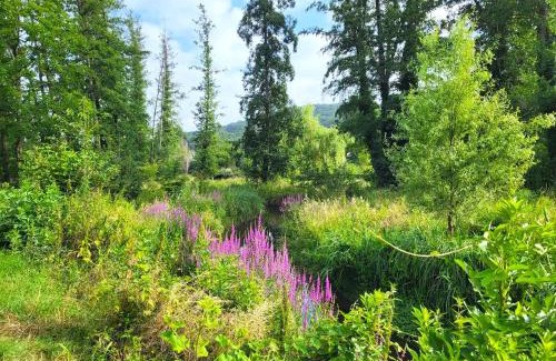 Verrieres-le-Buisson Apartment | Le Paradis - Charmants appartements proche nature