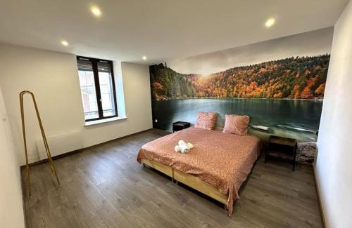 Epinal Apartment | Le Paris-Vosges