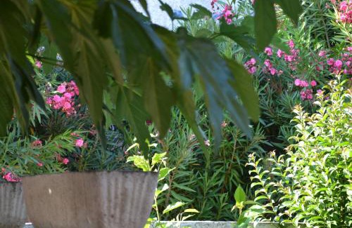 Torreilles House | Le patio de Torreilles-Plage