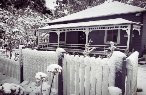 Blue Mountains City Council House | Le Petit Chateau Bushland Views